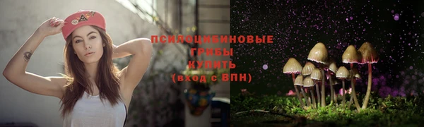 мяу мяу мука Алексеевка