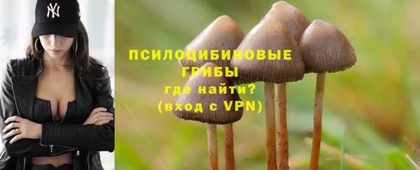 герыч Алзамай