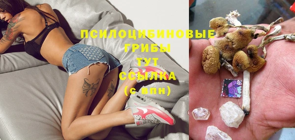 мяу мяу мука Алексеевка