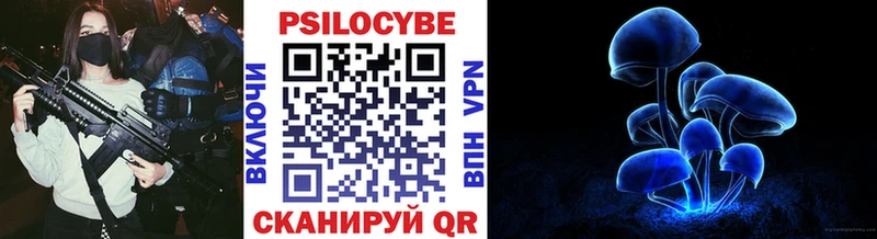 Галлюциногенные грибы Psilocybine cubensis  дарнет шоп  Тулун 