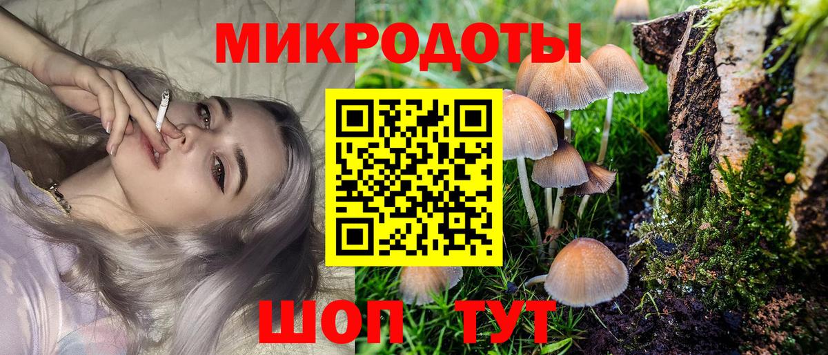 Псилоцибиновые грибы мухоморы  Галлюциногенные грибы Psilocybe  Тулун  Вход с VPN 