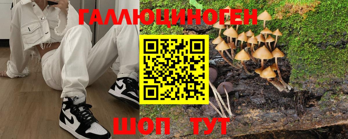 Галлюциногенные грибы мухоморы Тулун
